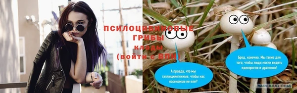 МДПВ Абдулино